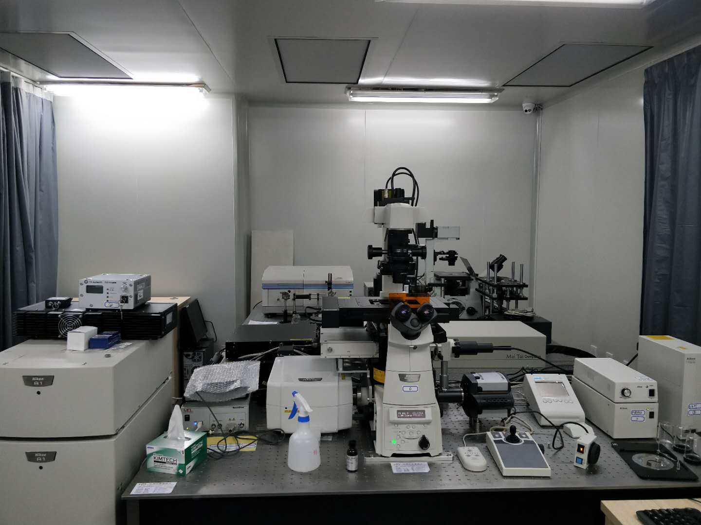 双光子及超分辨系统显微成像平台